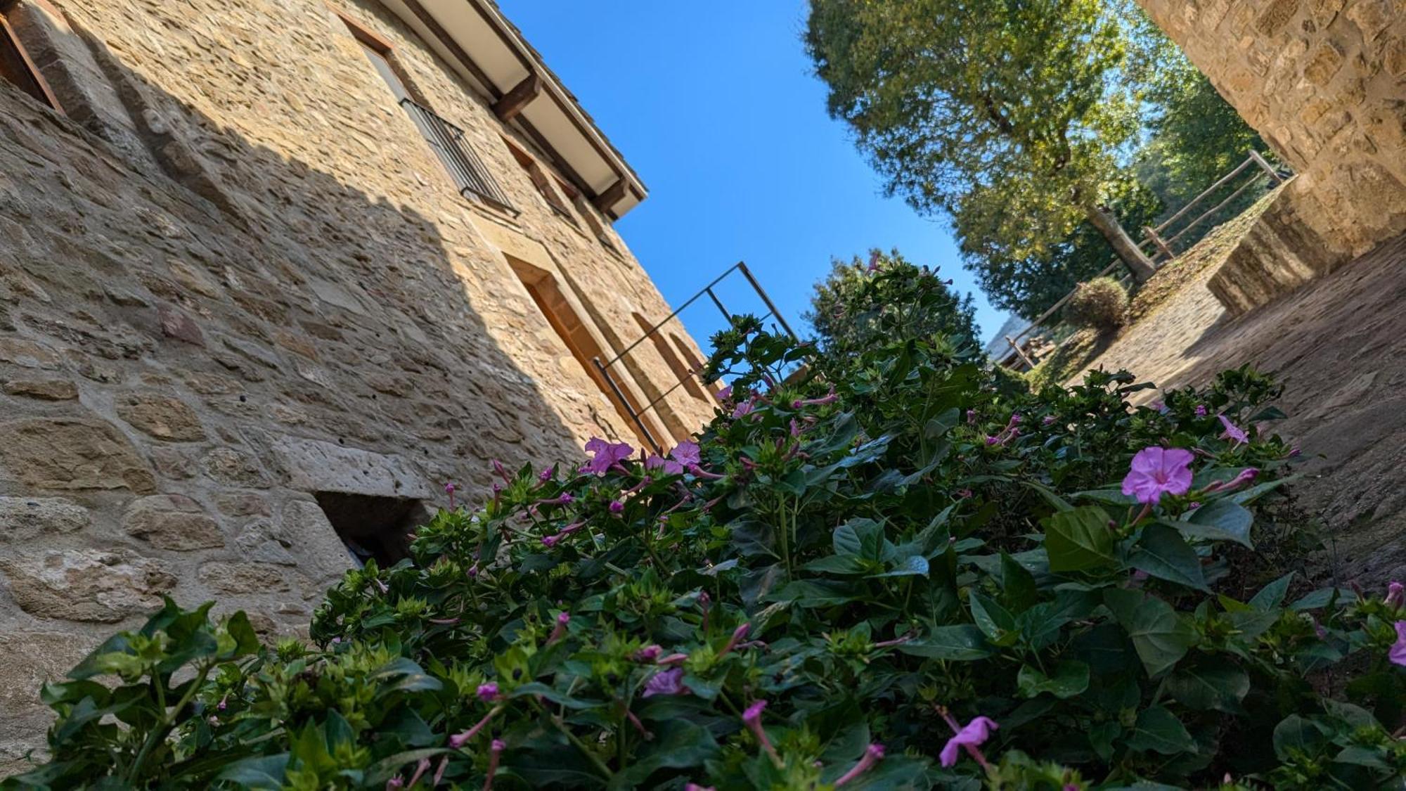 Mas El Carrer Lägenhet Santa Pau Exteriör bild